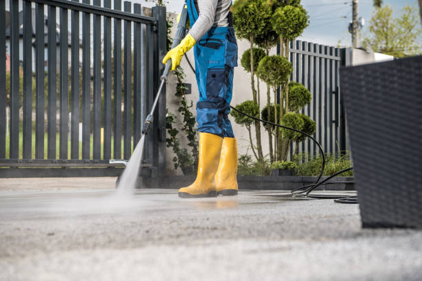 Best Roof Pressure Washing  in East Brooklyn, CT